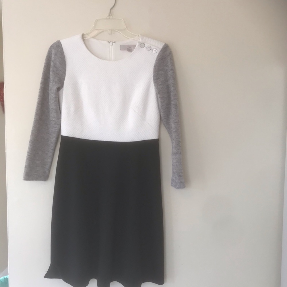 Ann Taylor Loft Dress Sz 4p